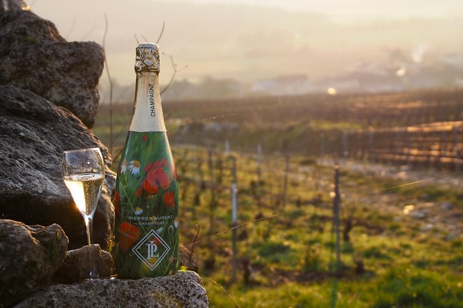 Vineyard tour & Tasting of all our lineup - The Sum Up