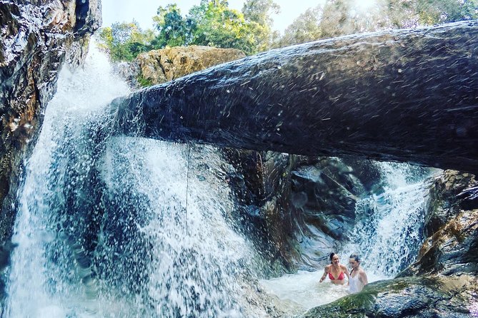 Samui X Quad 4WD Buggy Tour with Lunch - What to Expect from the Tour