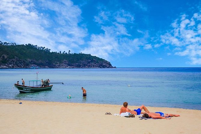 Private Speedboat Koh Tan & Pig Island Snorkeling from Samui - Whats Included & Whats Not