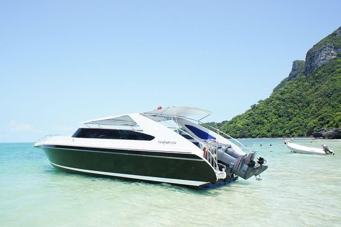 Private Speedboat Koh Tan & Pig Island Snorkeling from Samui - Frequently Asked Questions (FAQs)