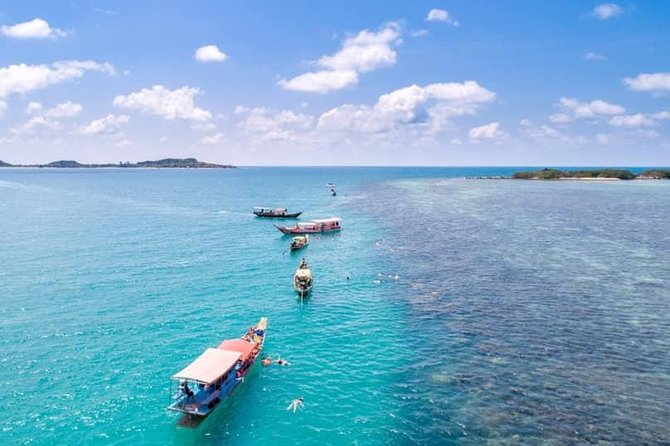 Private Speedboat Koh Tan & Pig Island Snorkeling from Samui - Why Choose This Tour?