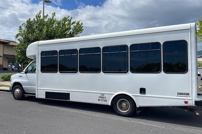 Hawaii island Mini-Buses Service - Why This Service Offers Good Value