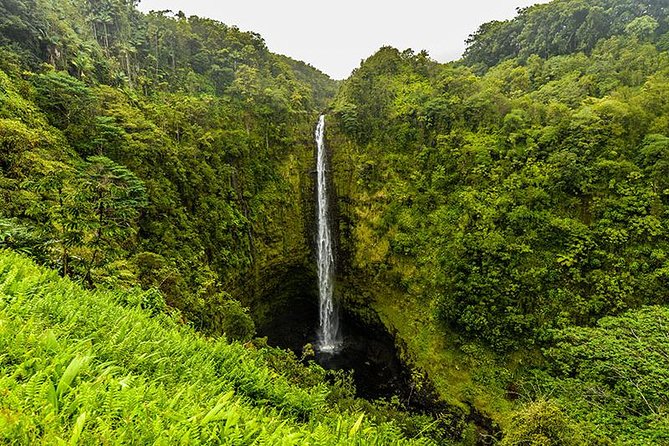 Road To Hana: Maui Waterfall Hiking Tour in Private Jeep - Authentic Experiences and Valuable Insights