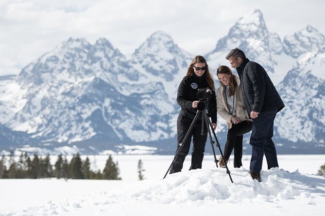 8 Hour Combination Snowshoe & Wildlife Viewing in Grand Teton National Park - Key Points