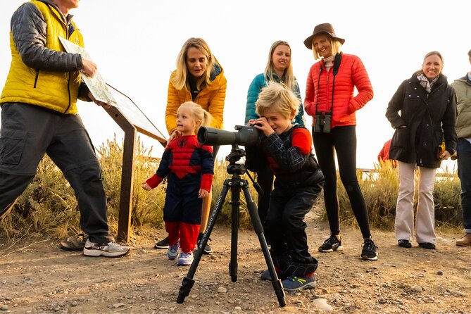 Afternoon Private Grand Teton Tour with Picnic Dinner - Key Points