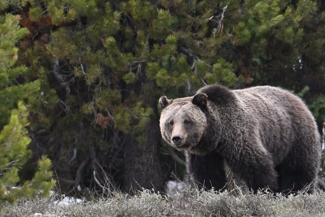 Grand Teton National Park - PRIVATE Sunrise Tour from Jackson Hole - FAQ