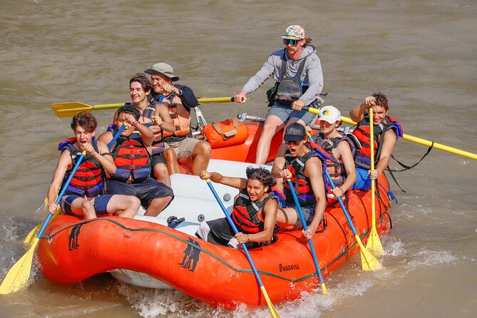 Whitewater Rafting, Jackson Hole - Family Friendly Classic Raft - What Sets This Tour Apart?