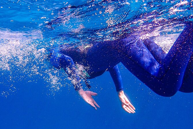 Private 12 Days Philippines Islands Hopping Tour with Cebu - Who Should Consider This Tour?