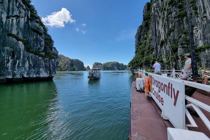 Halong Bay 4 Hour Cruising with Caving, Kayaking and Lunch - An In-Depth Look at the Tour Experience