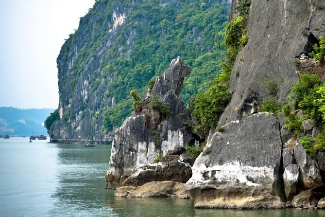 Halong Bay 4 Hour Cruising with Caving, Kayaking and Lunch - FAQ