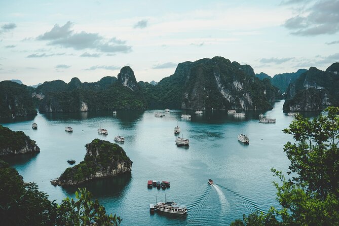 Ha Long Bay and Lan Ha Bay Cruise Experience - An Overview of the Tour