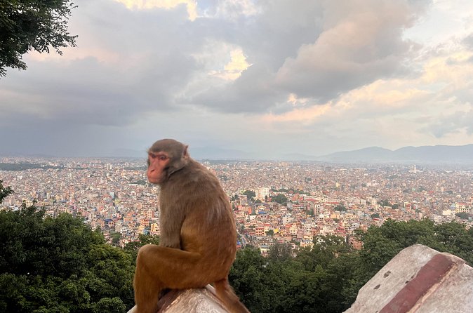 Kathmandu City Tour - Final Thoughts: Is It Worth It?