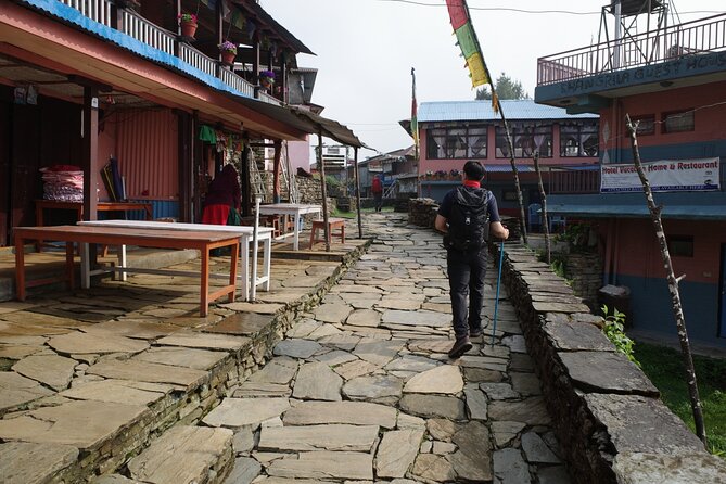 6 Days Mardi Himal Trek from Kathmandu - Practical Details and What to Expect