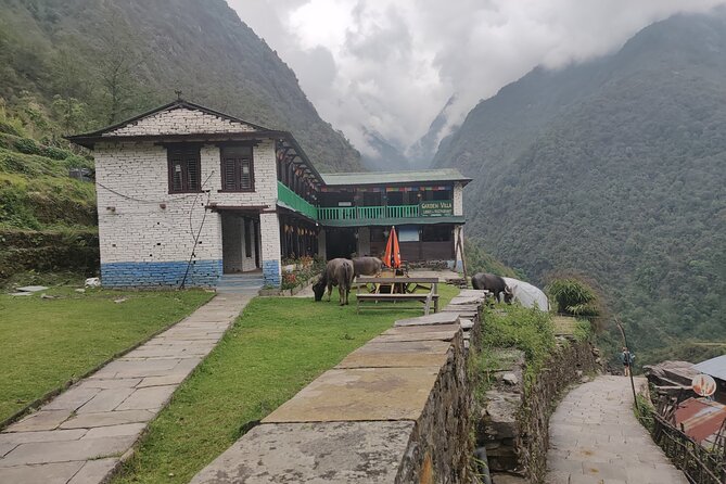 Kathmandu to Annapurna Base Camp Trek 7 Days Tour - Final Thoughts