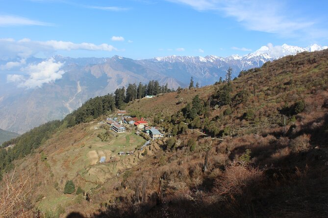 Langtang Valley Trek  8 Days Adventure from Kathmandu - The Real Value of This Trek