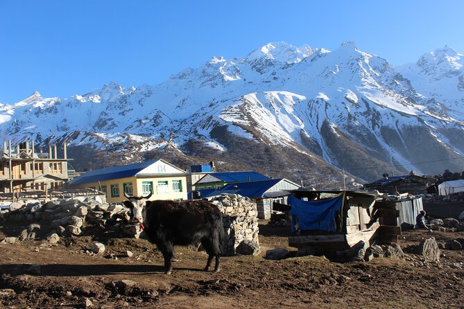 Langtang Valley Trek 8 Days Adventure from Kathmandu - Good To Know