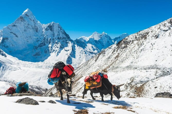 10 Days Langtang Valley and Gosaikunda Trek from Kathmandu - Who This Tour Suits Best