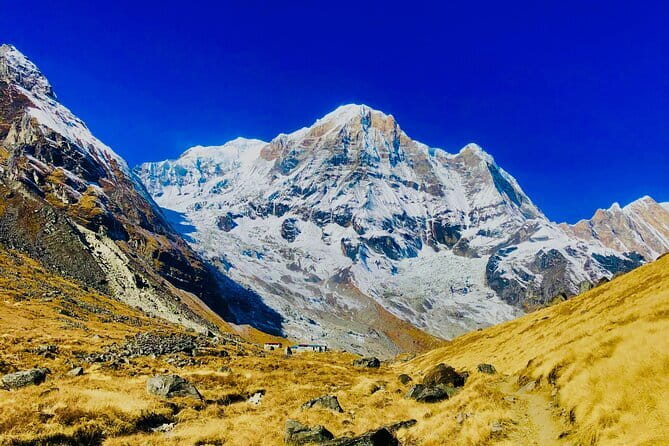 11-Day Annapurna Base Camp Trek - Authentic Encounters and Lasting Memories
