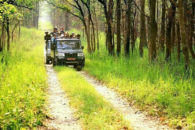 3 Day Chitwan National Park, Jungle Safari Package all Inclusive - FAQ