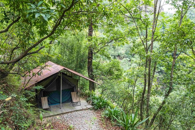 Bungee Jumping at The Last Resort - FAQ