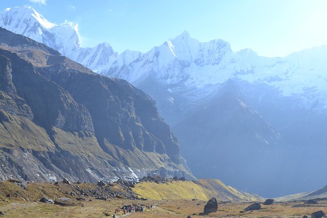 Annapurna Base Camp Trek 10 Days - Day 4: Descent, Forests, and Himalayan Highs to Himalaya Lodge