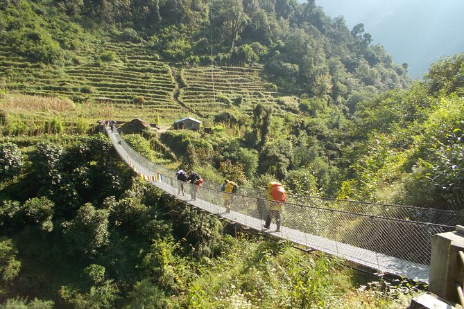 Annapurna Base Camp Trek 10 Days - Day 6: Descending from Annapurna Base Camp