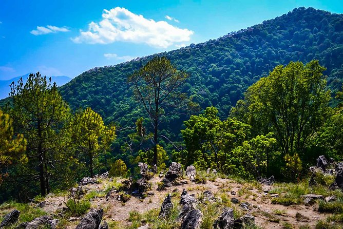 Kathmandu: Day hiking trip to Jamacho Hill Shivapuri NationalPark - End of the Day