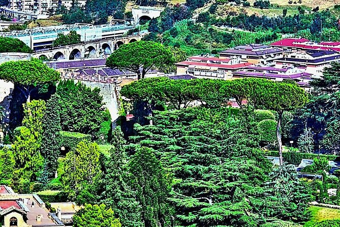 St. Peter's Basilica and Papal Grottoes Guided Tour - Who This Tour Is Best For