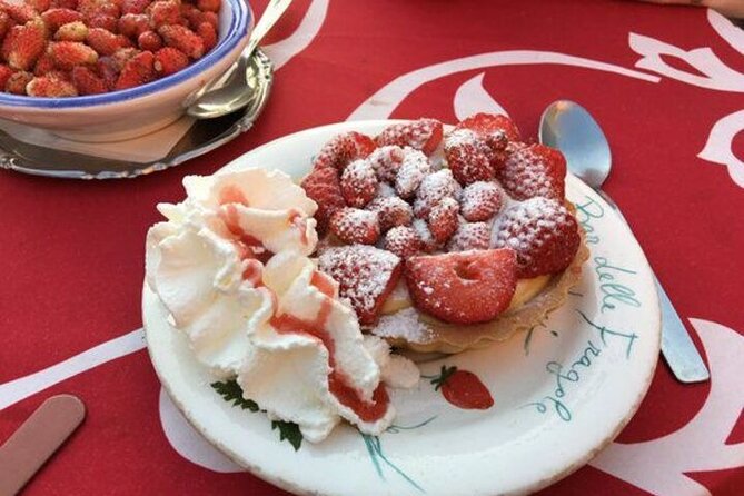 Castel Gandolfo tour with wine tasting - Transport, Timing, and Group Dynamics