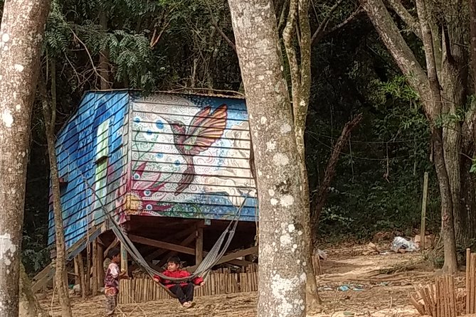 Indigenous Guarani Jaragua Experience - Key Points