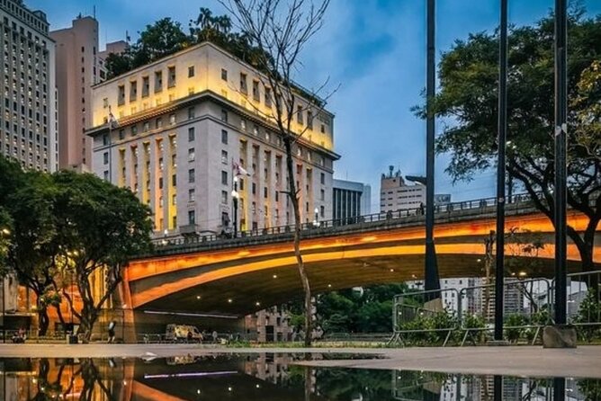 São Paulo Highlights Walking Tour with a Guide - An In-Depth Look at the São Paulo Highlights Walking Tour