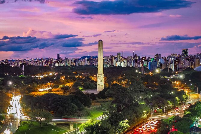 Sao Paulo Airport (GRU) Private Transfer to Sao Paulo City/Hotels - Who Will Benefit Most from This Service?