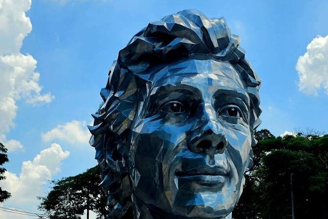 Private Ayrton Senna Urban Art Tour Experience in São Paulo - Discovering São Paulo’s Urban Art Scene: A Deep Dive