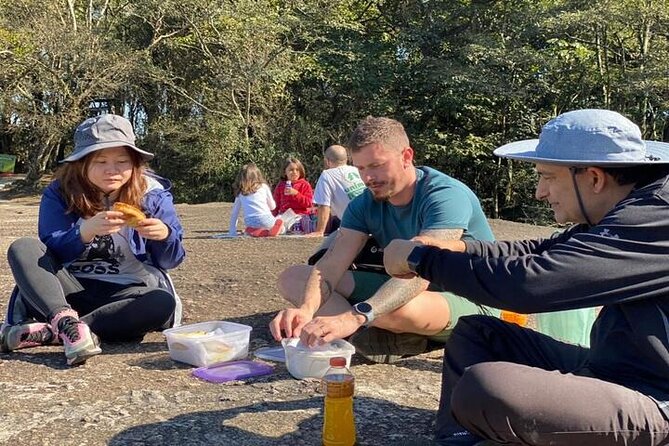 Walk to the Big Rock in Cantareira State Park: Optional airport pick-up - Why This Tour Stands Out