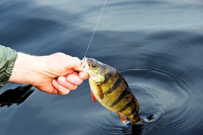 Fishing With Barbecue In Santos  Includes Fishing Gear And Supplies - Who Will Love This Experience?