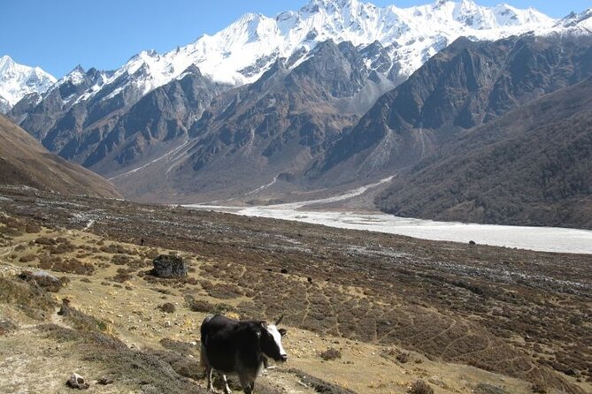 9 day Trek to Everest Base Camp from Lukla - The Sum Up