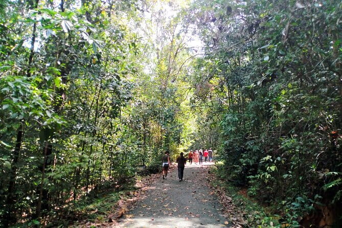 Kanneliya Rain Forest Tour - An In-Depth Look at the Kanneliya Rainforest Tour