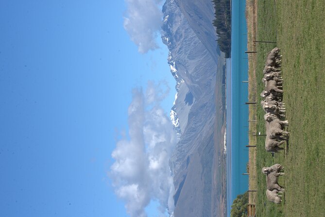 Mt. Hay Farm Experience Genuine Country Farming(Carbon Positive) - Final Thoughts