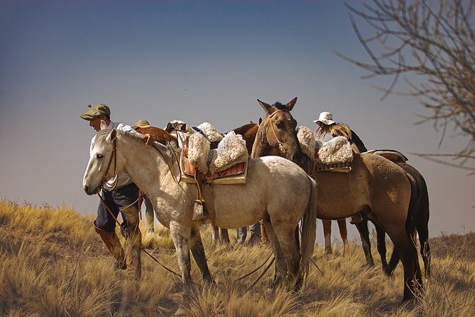 Full Day Horseback Riding at the Foot of the Andes. - An In-Depth Look at the Experience