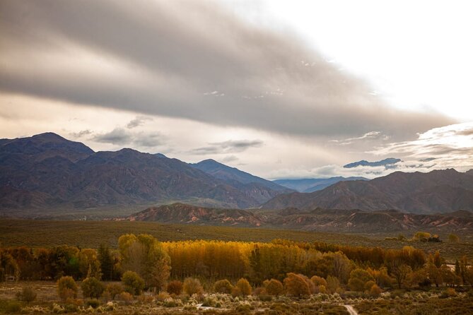 Full Day Horseback Riding at the Foot of the Andes. - Full Day Horseback Riding at the Foot of the Andes: A Full-Bodied Argentine Experience