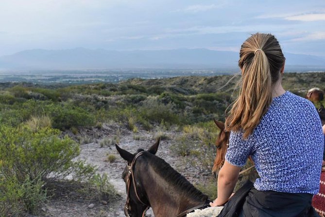 Criolla Horseback Riding - A Deep Dive into Criolla Horseback Riding: What You Can Expect