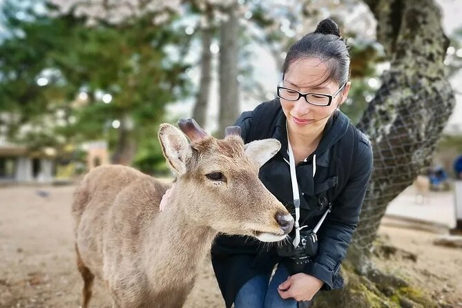 Osaka And Nara Private Car City Tour - Exploring the Itinerary: What You Can Expect