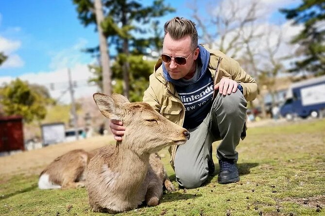 Osaka And Nara Private Car City Tour - Why This Tour Works Well for Travelers