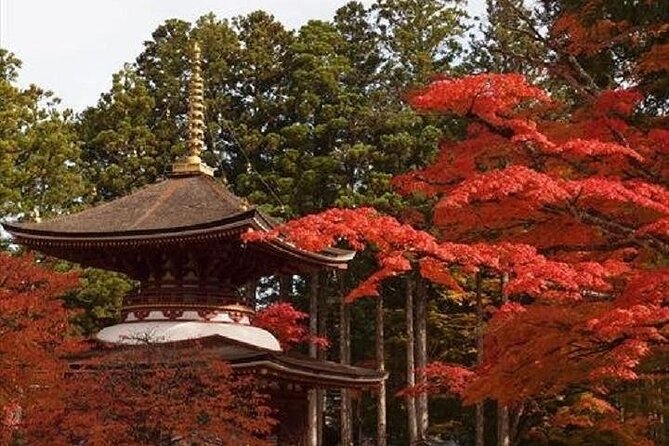 Mt Koya 1 Day Walking Tour from Osaka - Who Should Consider This Tour?