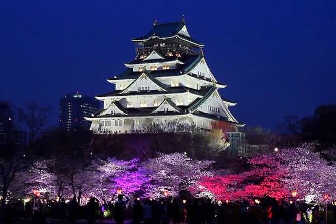 Private Osaka Tour: Omakase Bar Walking Experience - Engaging Your Senses: A Night in Osaka with a Private Guide