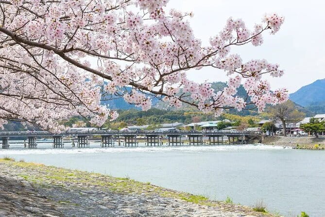 Kyoto Exclusive Private Tour with Vehicle & Professional Guide - Who Will Love This Tour?