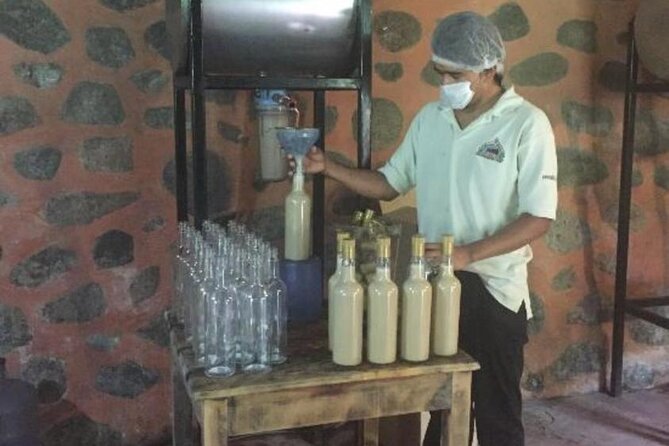 Explore Puerto Vallarta and Tequila Tasting - Final Thoughts