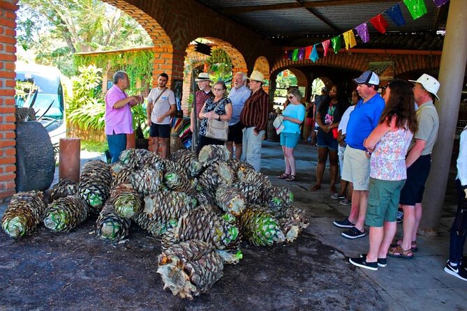 Explore Puerto Vallarta and Tequila Tasting - Value and Practical Considerations
