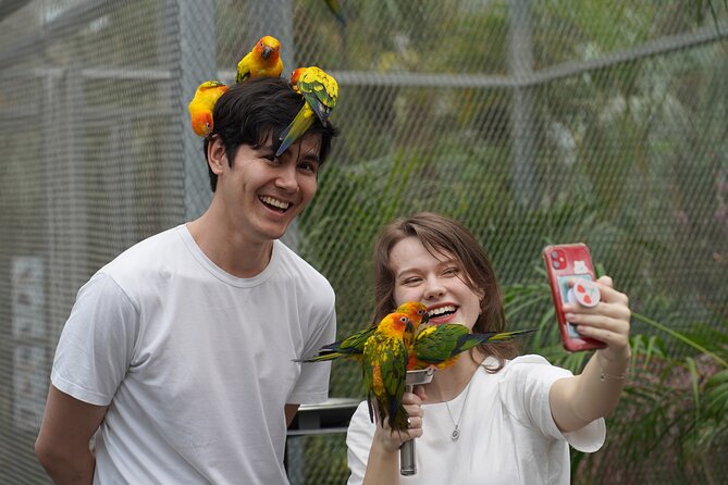 Gyeonggi Begonia Bird Park Ticket - Frequently Asked Questions