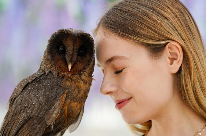 Gyeonggi Begonia Bird Park Ticket - Who Should Visit?